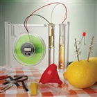 Citron klocka