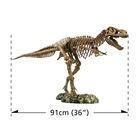 Enorma Tyrannosaurus Rex