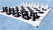 Trädgård schack spel