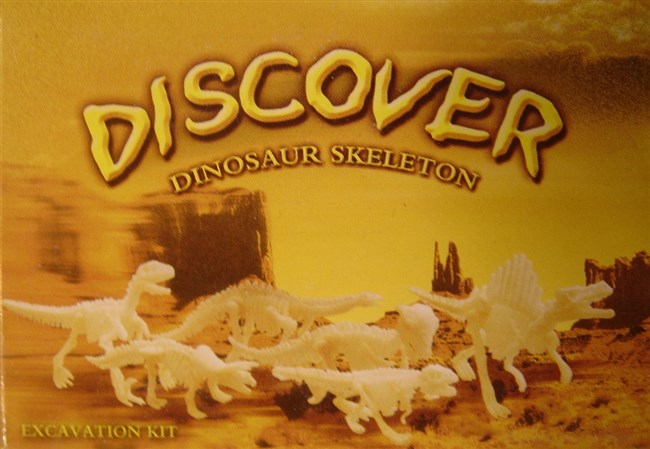 Dinosaurie skelett Dinosaurie skelett