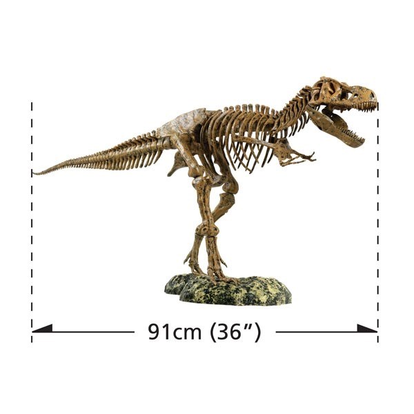 Enorma Tyrannosaurus Rex