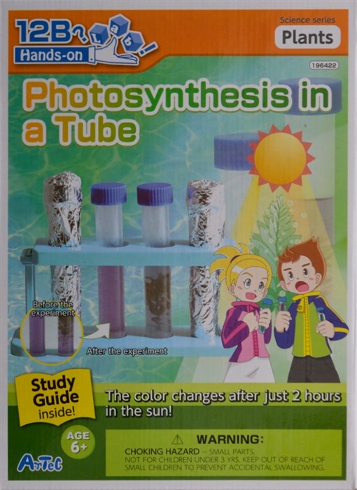 Fotosyntes i ett rör