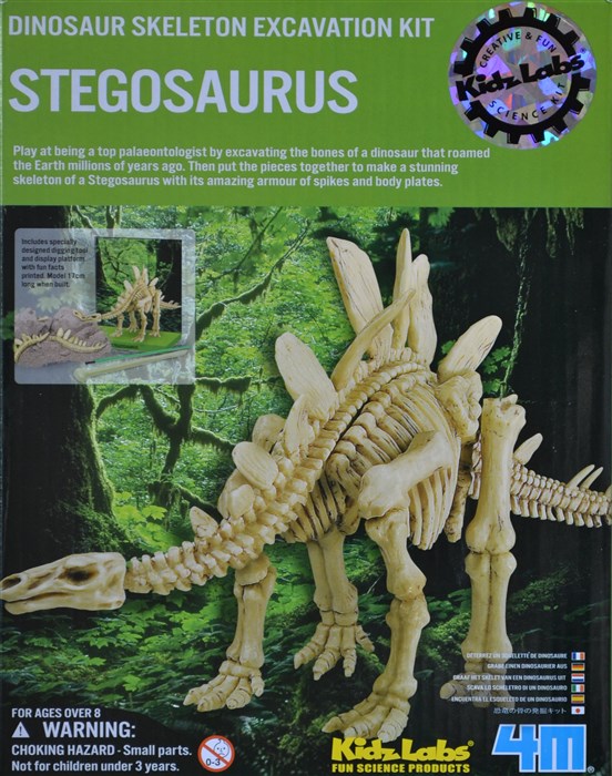 Gräva en Stegosaurus skelett Gräva en Stegosaurus skelett