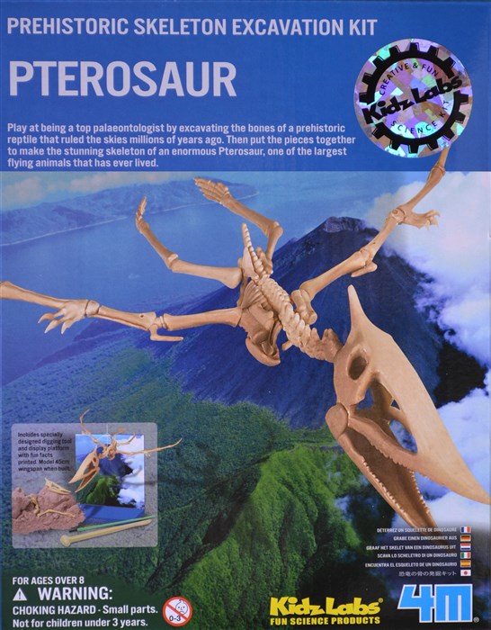 Gräva ut en Pteranodon dinosaurie Gräva ut en Pteranodon dinosaurie