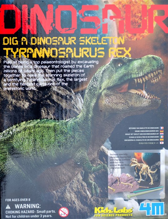 Tyrannosaurus Rex skelett Tyrannosaurus Rex skelett