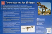 Enorma Tyrannosaurus Rex