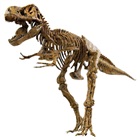 Enorma Tyrannosaurus Rex